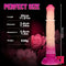 11.81in Extra Long Horse Animal Dildo Ombre Odd Love Toy